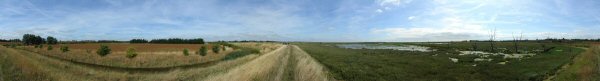 Panorama(s) of Tollesbury sea wall