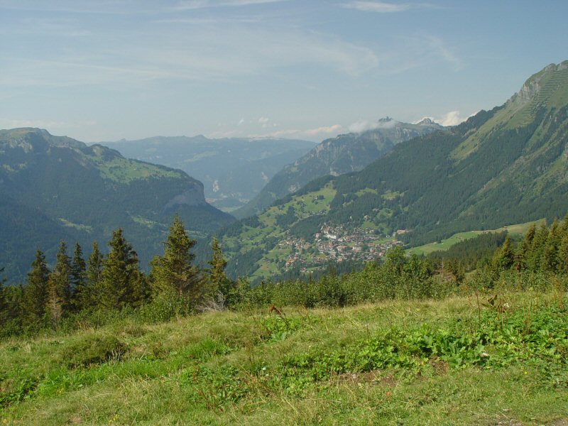 Viewpoint: Wengen and the Jungfrau from Wengernalp