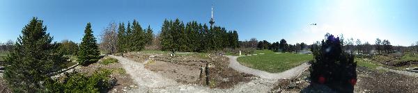 Panorama(s) of Botaanikaaed