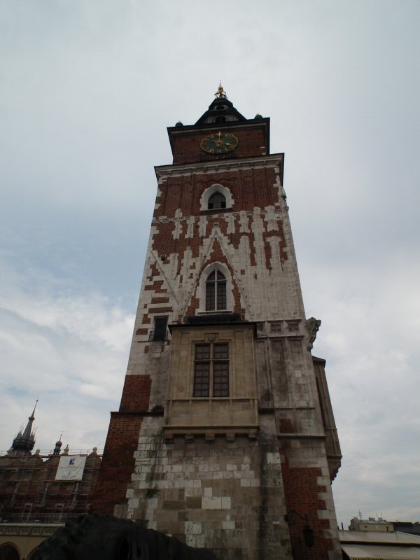Viewpoint: Town Hall