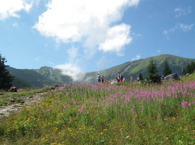 Viewpoint: Kondratowa Polana